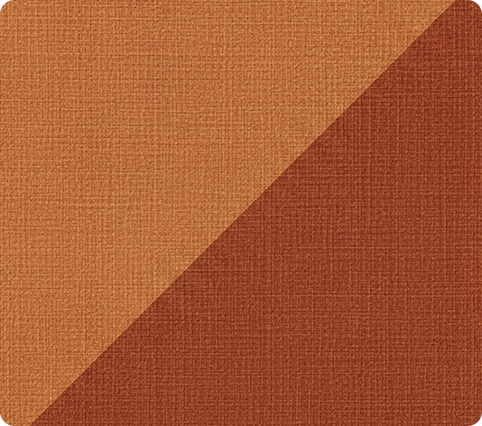 Rust & Terracotta Rugs